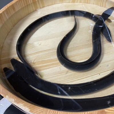 希少 四万十川産＜天然うなぎ＞蒲焼 1尾(約200g)R7