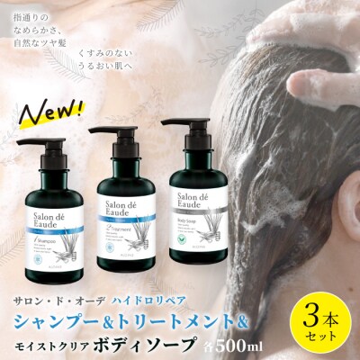 サロン・ド・オーデ ハイドロリペア シャンプー&トリートメント&モイストクリアボディソープ3点 26