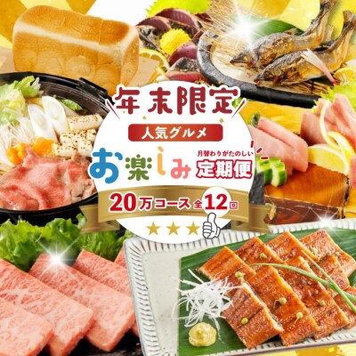 【年末限定12回定期便】人気グルメお楽しみ しまんとふるさと定期便20万円コース 2025-616