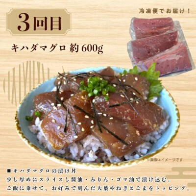 【3回定期便】ご飯にのせて!贅沢どんぶり定期便