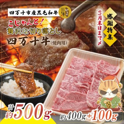 【感謝・期間限定100g付き】四万十牛こじゃんと贅沢な切り落とし　焼肉用:3月31日まで受付