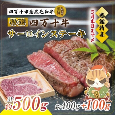 【感謝・期間限定100g付き】 四万十牛 特選 サーロインステーキ 約500g:3月31日まで受付