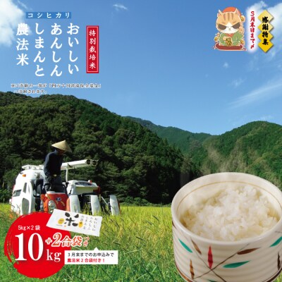 【感謝 期間限定 2合袋つき】しまんと農法米 コシヒカリ 10kg 2合袋付き 26