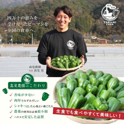 苦味が少なくておいしい!高見農園のこだわり・新鮮ピーマン1kg【発送時期:10月～6月】