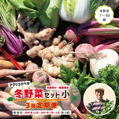 【3回定期便・早期・数量限定】アグリユウベの冬野菜セット(小)【配送:R8年12月・R9年1月2月】