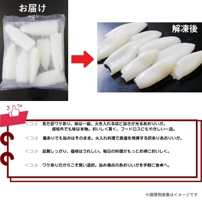 【訳アリ】アオリイカむき身(不揃い)