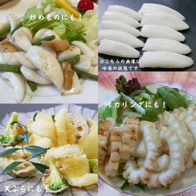 【訳アリ】アオリイカむき身(不揃い)