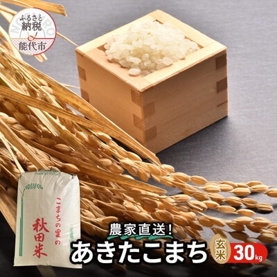 玄米 農家直送!秋田県産 あきたこまち 30kg[No.5335-0185]