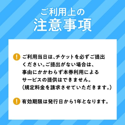 鹿児島市内めぐり3時間コース(小型タクシー)4名様まで　ご利用券　K192-FT001