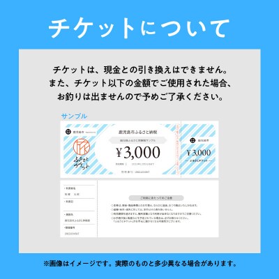 鹿児島市内めぐり3時間コース(ジャンボタクシー)9名様まで　ご利用券　K192-FT003