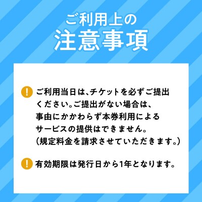 鹿児島市内めぐり3時間コース(ジャンボタクシー)9名様まで　ご利用券　K192-FT003