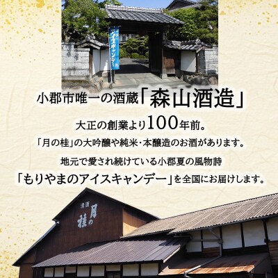 アイス もりやまのアイスキャンディー 20本入 セット 無添加[No5354-0199]