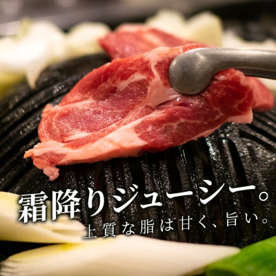 特撰 生ラム (冷凍)タレ付 400g<肉の山本>