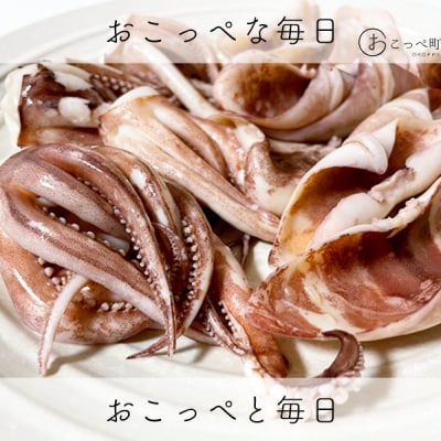 〔ワケあり〕わけあって!イカゲソとイカミミ【20009】