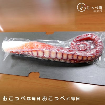 タコ足1kg前後 北海道オホーツク産【21010】