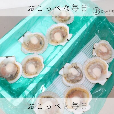 片貝ホタテ(10枚)　北海道オホーツク産【21012】