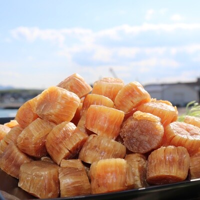 ホタテ干貝柱500g 品質1等SA粒 北海道オホーツク産【21039】