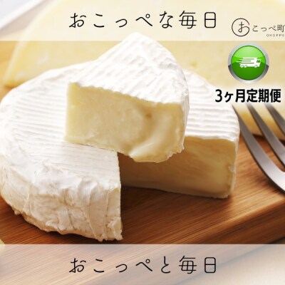 カマンベールチーズSAYURI 2個 3ヶ月定期便【16027】