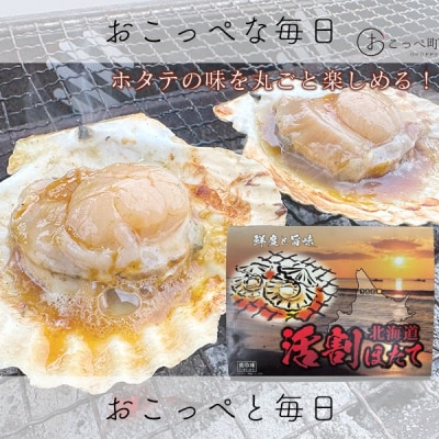 活割ほたて(9～10cm)20枚【18001】