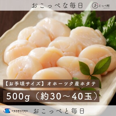 【お手頃サイズ】オホーツク産ホタテ500g【400】