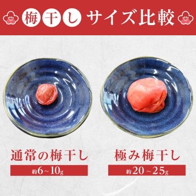 角田市 岸浪園 極み梅干し 塩分約17% 100g×4パック 限定100個