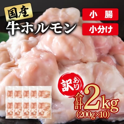 訳あり国産牛ホルモン2kg(小腸)牛もつ小分け200g×10　もつ鍋焼肉に[3047]