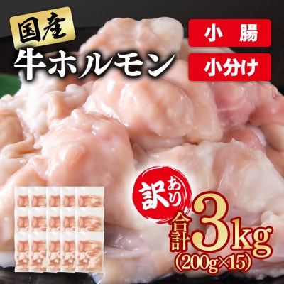 訳あり国産牛ホルモン3kg(小腸)牛もつ小分け200g×15　もつ鍋焼肉に[3048]