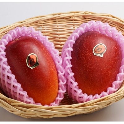 【大玉4L×2玉】約1kg糖度12度以上(JA西都)完熟マンゴー西都産【先行受付】[1009]