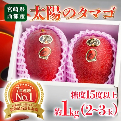 西都産完熟マンゴー「太陽のタマゴ」糖度15度以上(JA西都)【先行受付】[1010]