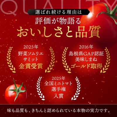 出雲の國からの贈り物～トマトを超えた超トマト1kg【1_2-020】