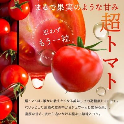 出雲の國からの贈り物～トマトを超えた超トマト1kg【1_2-020】