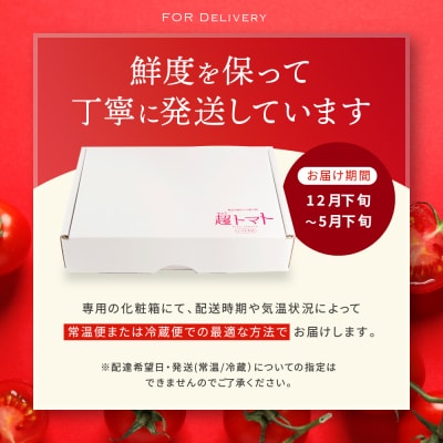 出雲の國からの贈り物～トマトを超えた超トマト1kg【1_2-020】