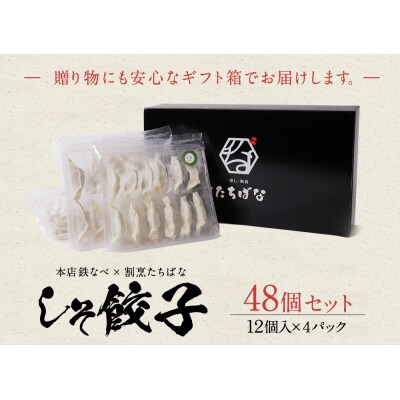 本店鉄なべ×割烹たちばな しそ餃子48個