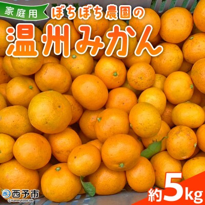 ぼちぼち農園の温州みかん 家庭用 5kg> 選べる  5キロ うんしゅうみかん 