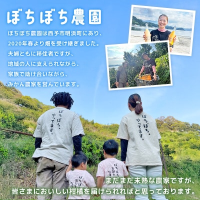 ぼちぼち農園の温州みかん 家庭用 5kg> 選べる  5キロ うんしゅうみかん 