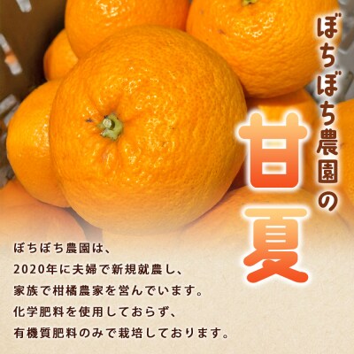 <ぼちぼち農園の甘夏 家庭用 約5kg> 選べる 5キロ あまなつ
