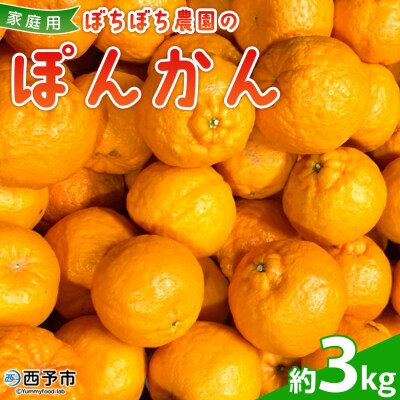 <ぼちぼち農園のぽんかん 家庭用 約3kg> 選べる 3キロ  ぽんかん ポンカン 訳あり