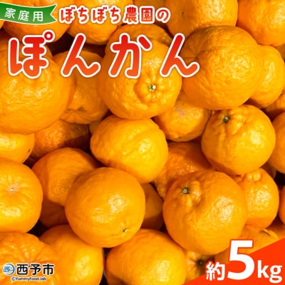 <ぼちぼち農園のぽんかん 家庭用 約5kg> 選べる 5キロ ぽんかん ポンカン 訳あり