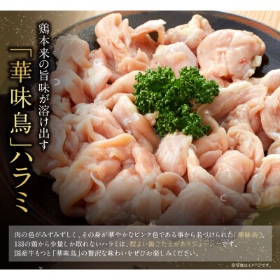 博多華味鳥 もつ鍋セット 醤油味(3～4人前)