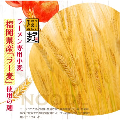 福岡県産ラー麦　とまとらーめん　120g×8入(スープ付)