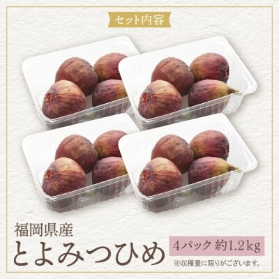 【2026年発送】とよみつひめイチジク(4パック)