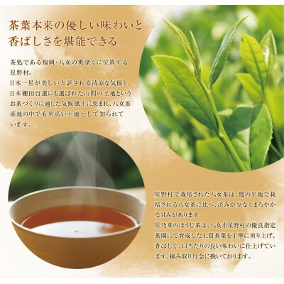 八女ほうじ茶　ティーバッグ3g×200個入