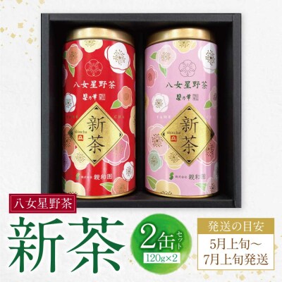 新茶 八女星野茶 120g×2本