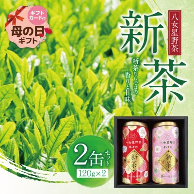 【母の日】新茶 八女星野茶 120g×2本