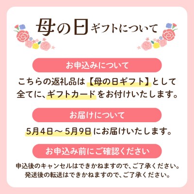 【母の日】新茶 八女星野茶 120g×2本