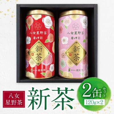 【母の日】新茶 八女星野茶 120g×2本