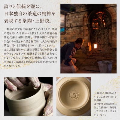 【アガノ・ラミュ】ディナープレート(黒)