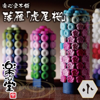 落雁「虎尾桜」(小)