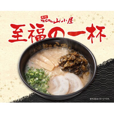 九州筑豊ラーメン 焼豚高菜生ラーメンとんこつ6食セット