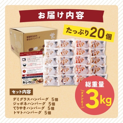 Best4バーグ ハンバーグ 20個セット(合挽4種 各5個)